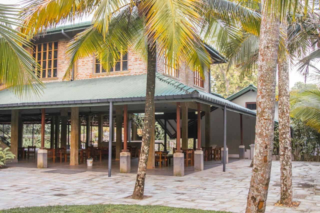 The Coastal Village Cabanas อาฮานกามา ภายนอก รูปภาพ