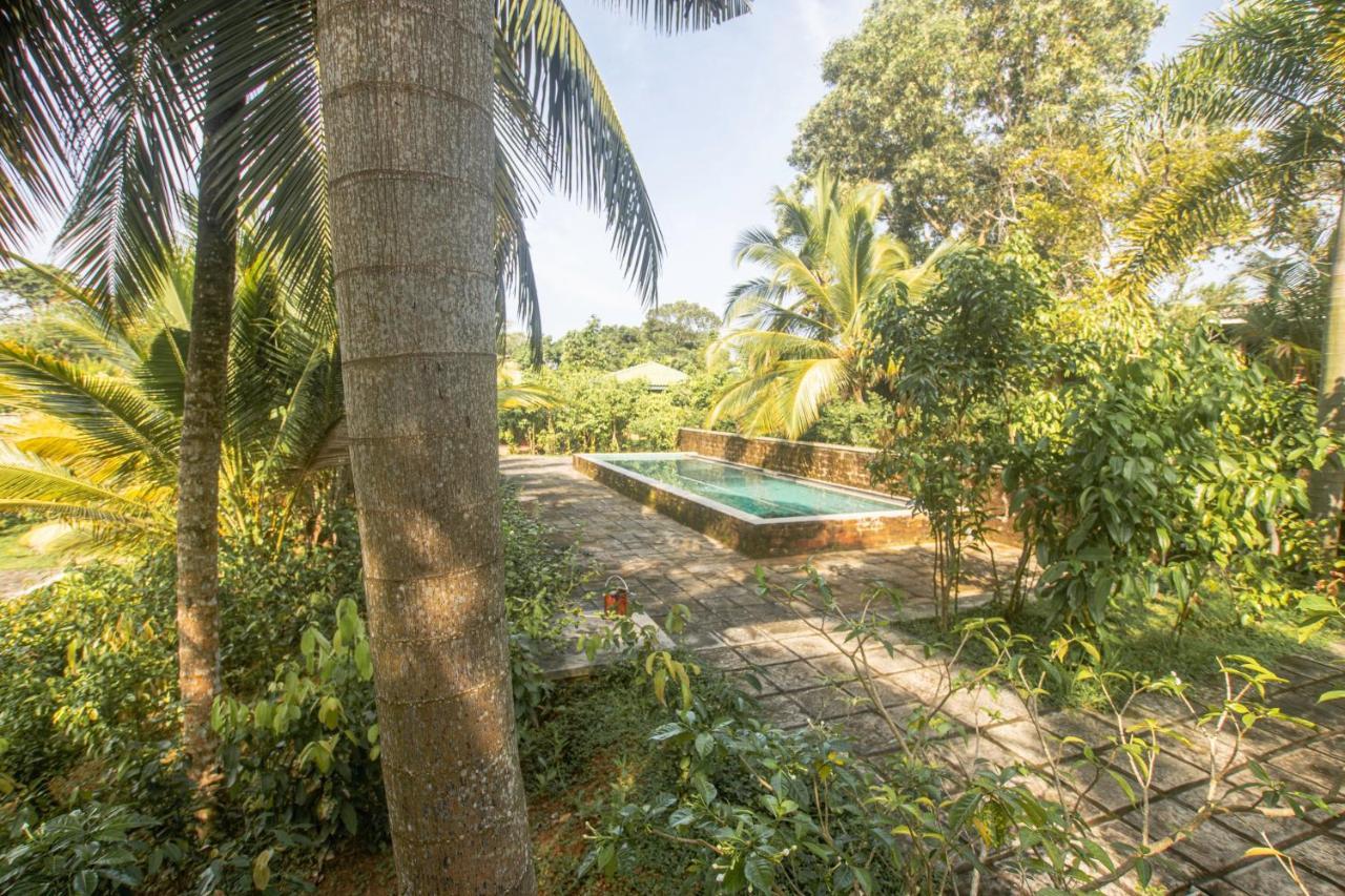 The Coastal Village Cabanas อาฮานกามา ภายนอก รูปภาพ