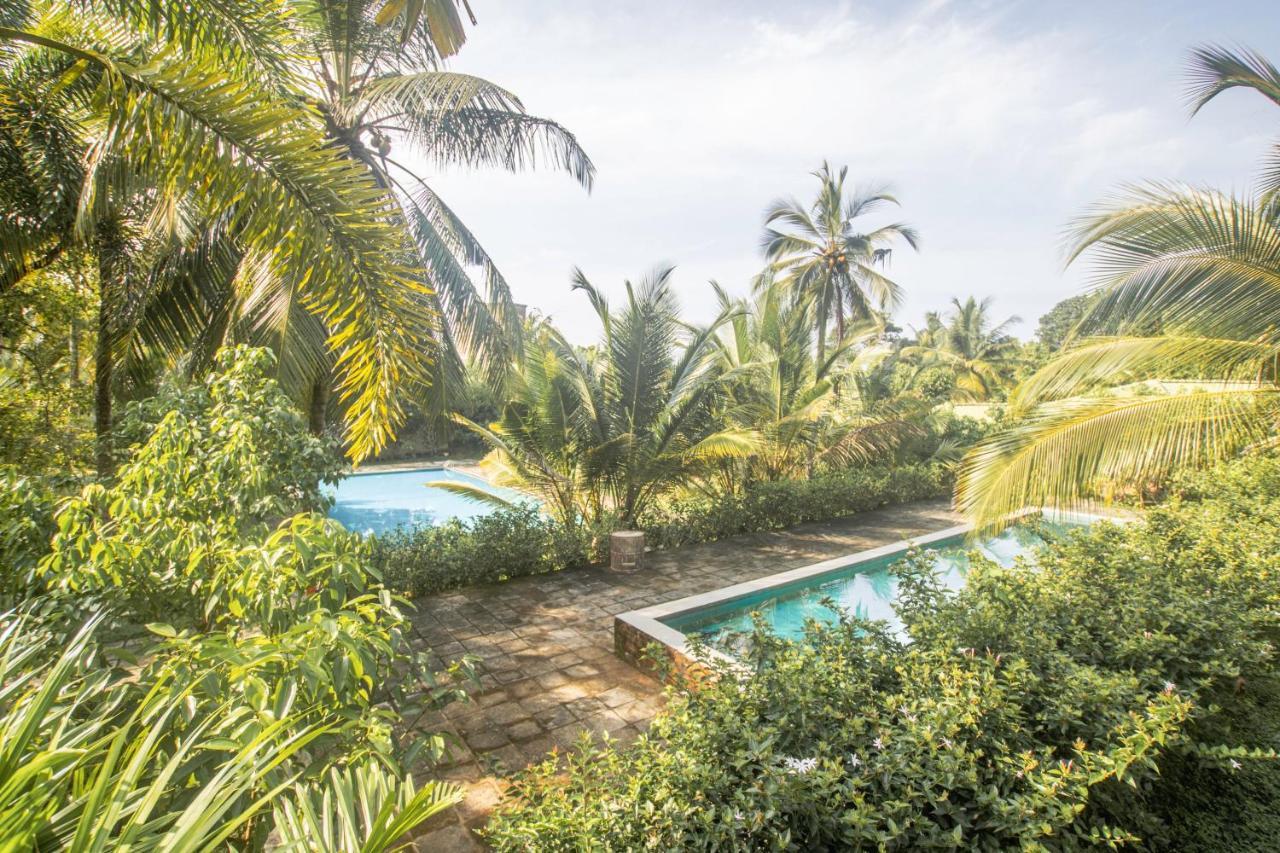 The Coastal Village Cabanas อาฮานกามา ภายนอก รูปภาพ
