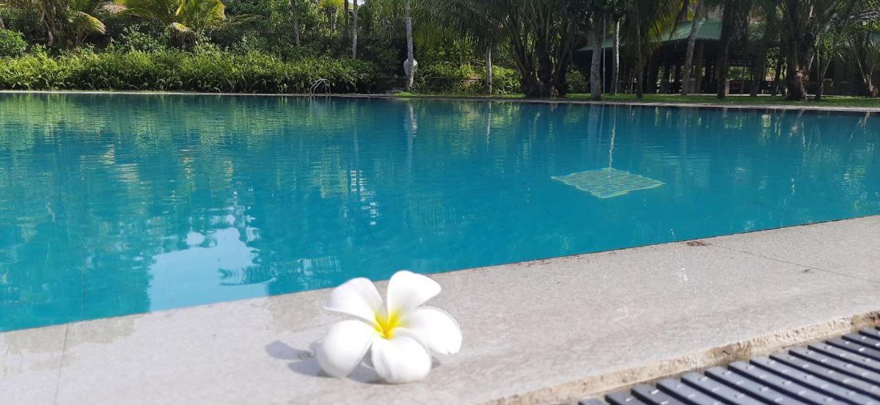 The Coastal Village Cabanas อาฮานกามา ภายนอก รูปภาพ